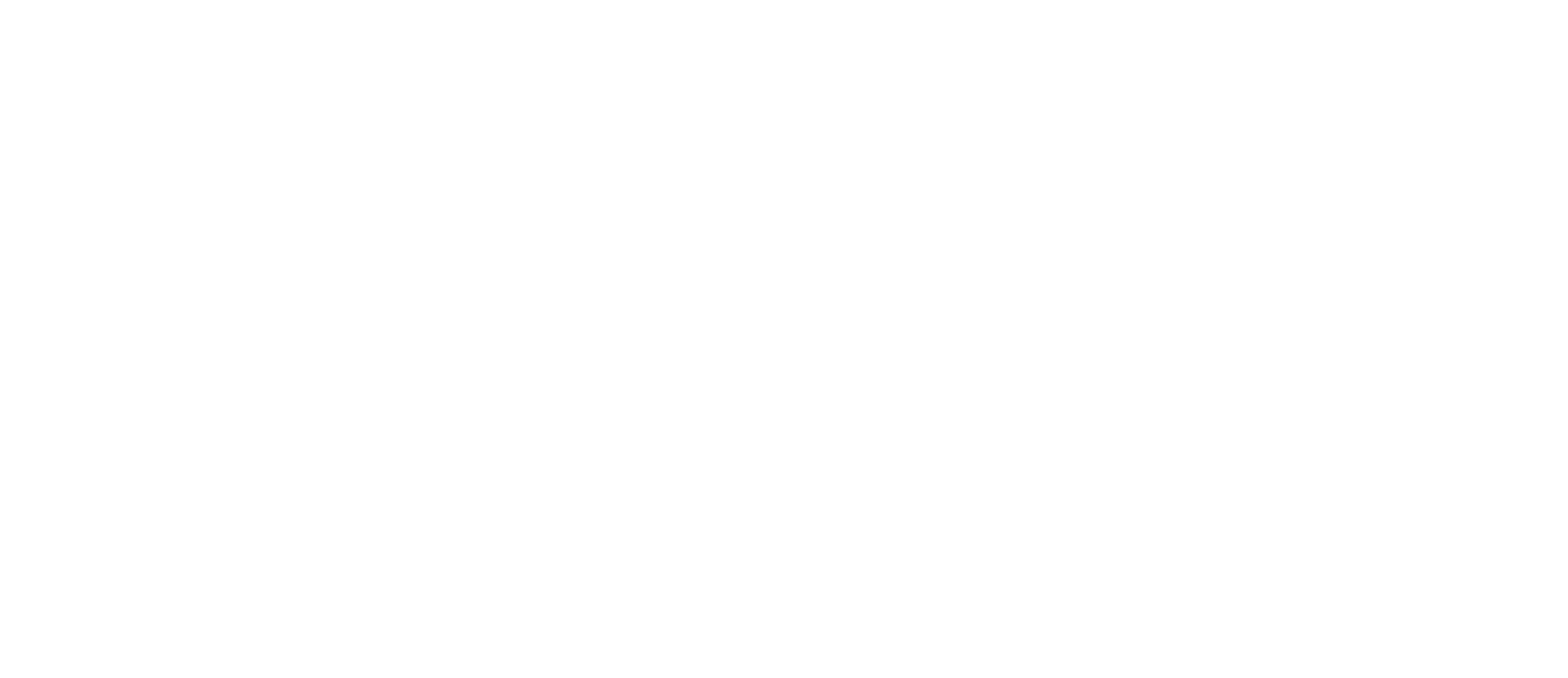 Wayrilz white logo